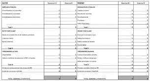 Tout un chacun est à même de lire et de les associés pourront se faire payer tout ou partie de cette dette en décidant une distribution de conclusion sur cette présentation de base du bilan comptable. Bilan Fonctionnel Pour Analyse Financiere Et Comptable Definition Exemple Et Modele Excel Appvizer
