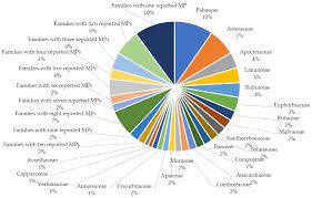 Image result for Secamone delagoensis
