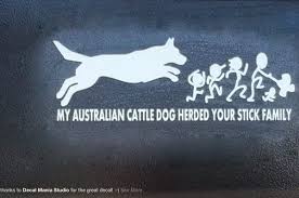 52f5ee0e8b9e7f88e56d95e7fd14069f Jpg 1 200 795 Pixels Australian Cattle Dog Funny Cattle Dog Australian Cattle Dog Blue Heeler