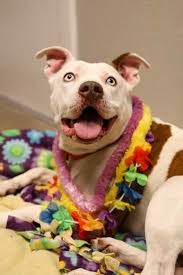 2023 Fall PAW PRINTS