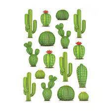 This elegant thin leaved agave has green coming through its. Thorny Cactus 3d Pop Up Stickers 16 Piece Walmart Com Walmart Com