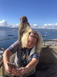 The gibraltar telephone directory online is gibraltar's no. Gibraltar Holidays Book Now With British Airways