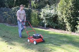 Mit dieser pflege ist ihr rasen optimal für die warme saison. Gartentipp Rasenpflege Im Fruhjahr