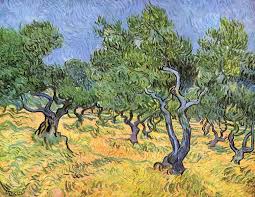 Vincent Van Gogh Olive Trees 1889 Vincent Van Gogh Art Van Gogh Paintings Vincent Van Gogh Paintings