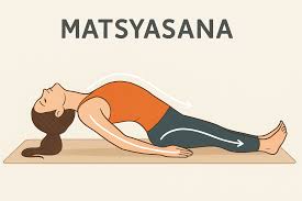 Matsyasana Yoga Pose