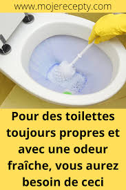 Pour Des Toilettes Toujours Propres Et Avec Une Odeur Fraiche Vous Aure Produit De Nettoyage Faits Maison Recettes De Nettoyage Ecologiques Detartrer Toilette