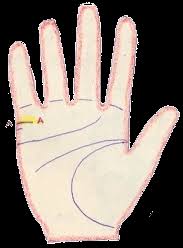 It means that these lines shall reflect different experience that. Vedic Palmistry Lines Inimical To Married Life Palm Lines For Divorce And Separation Askastrologer Com