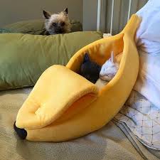 Hot promotions in banana cat bed on aliexpress: Banana Shape Pet Dog Cat Bed House Mat Doggy Puppy Cushion 5 Colors Gear4rave