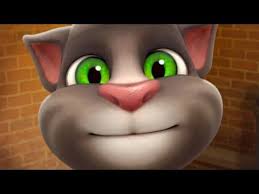konusan kedi tom ile sohbet canli yayin youtube kedi