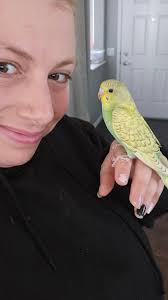 Our budgie babies🐦🐦🐦🐦so much love💙