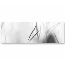 Black And White Canvas Pictures Uk East Urban Home Black And White Blades Of Grass Print On Canvas Canvas Prints Canvas Black White