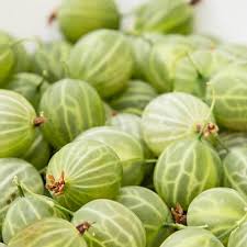 Amla Berries The World S Most Underrated Superfood Gooseberry Berries White Bowls