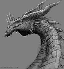 Dragon Profile Daily Doodle Maugryph In attempt to prevent frequent usage of stolen art in profile pictures, i've compiled a little list of pictures/gifs that new users can use that are dragon like! maugryph