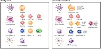 An Atlas Of Immune Cell Exhaustion In Hiv Infected