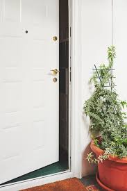 See more ideas about flower pots, front door, porch flowers. 10 Front Door Plant Ideas Best Plants For Your Entrance