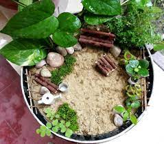 Maybe you would like to learn more about one of these? Diy Miniature Garden 6 Steps With Pictures Instructables