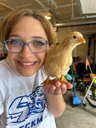 Tara Flood's Instagram, Twitter & Facebook