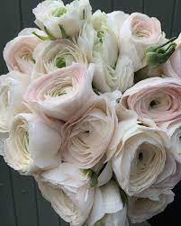 Pin On Flowers