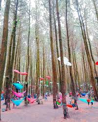 Copyright 2018 © taman nasional bromo tengger semeru indonesia | english. Infomalang On Twitter Kalo Liburan Hutan Pinus Semeru Rameee Pict By Atabikata Hps Hutanpinussemeru Wajak Wajakhits Mal Https T Co Sbcqfzmzvk Https T Co 8zqmoh6es6