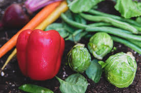 Join millions of learners from around the world already learning on udemy. Top 10 Vegetables To Grow In Your Home Garden