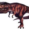 Join 3,170 players on dododex's discord and get 100 dino emojis! Https Encrypted Tbn0 Gstatic Com Images Q Tbn And9gcrbmjfx2ba0xucuis5zcgssf3kvcnjq83yus5dunoon96luxfr1 Usqp Cau