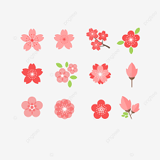 Kyse perfumes pêche au yuzu. Elements De Fleur De Cerisier Japonais Dessin Anime Simple Rose Clipart Fleur De Cerisier Japon Pale Doux Fichier Png Et Psd Pour Le Telechargement Libre
