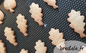 Des Bredele Originaux A Base De Farine De Chataigne Recette De Sables A La Farine De Chataigne Sables Croustillan Bredele Recette Bredele Farine De Chataigne
