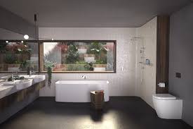 evolution of bathroom spaces