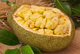 Established since 1986, has 3,000 hectares planted with valencian oranges, lemon persian type, pineapple, tangerine and passion fruit. Jaca An Exotic Fruit Rich In Nutrients And Flavor
