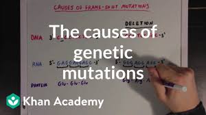 State whether the mutation is likely to be passed on to the offspring of the organism. Dna Mutations Biology For Majors I