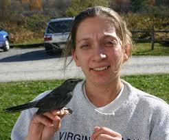 Powdermill Banding Fall 2005