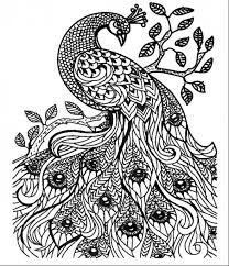 700x528 my kolam twin peacocks swarna vasi my fav.rangoli.collections. Peacock Drawings Black And White
