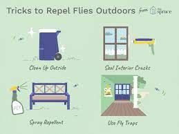 We did not find results for: How To Get Rid Flies Outdoors
