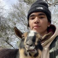 2300+ "Aidan" profiles