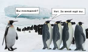 Картинки по запросу кто крайний?