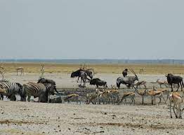 Pin On Ethiopia Where A Part Of My Heart And Soul Live
