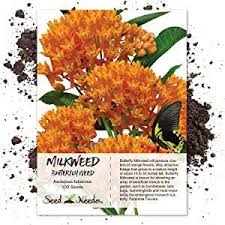 Butterfly Milkweed Seeds For Planting Milkweed Seeds Seeds Milkweed