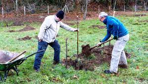 La carte des départements en france où la seconde vague est plus importante que la. Mazamet Qui Veut Parrainer Un Arbre Ladepeche Fr