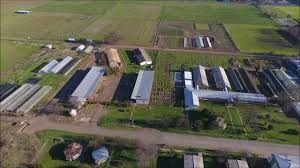 La universidad de concepción posee más de 24.000 estudiantes de pregrado en alguna de las 91 carreras de pregrado que ofrece actualmente en las 20 facultades ubicadas en los campus de concepción, chillán o los ángeles. Universidad De Concepcion Campus Chillan Youtube