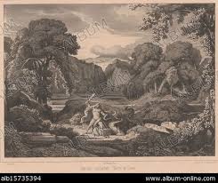 Image result for Lessertia falciformis