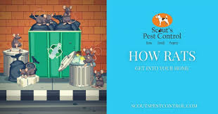Enter the code at checkout. News Scout S Pest Control