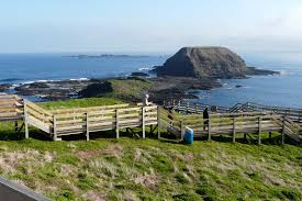 See sunrise at sandy beaches, penguins and koalas up close, and international motor sports at high speed. Phillip Island Tours 12 Amazing Things To Do Tourscanner