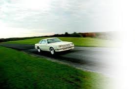 Image result for Eggshell White 1980 Dodge