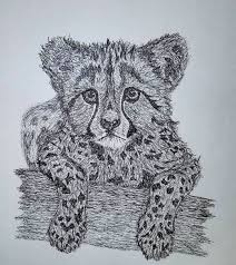 Baby Cheetah By Cam Harpold Animal Drawings Baby Cheetahs Animal Pen
