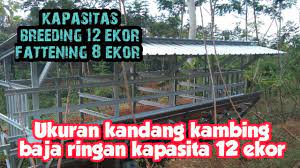 Dengan banyaknya orang yang menggunakan. Ukuran Kandang Kambing Baja Ringan Youtube