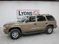 Image result for Sierra Bronze 2000 Durango