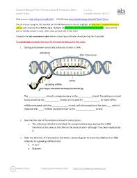Pogil ap biology pdf pogil activities for ap biology answer. Essential Biology Transcription Translation Ahl And Worksheet Budget Planner Goals E Preschool Year 1 Addition Pdf On Tens Ones For Grade Turtle Printables Preschoolers Calamityjanetheshow
