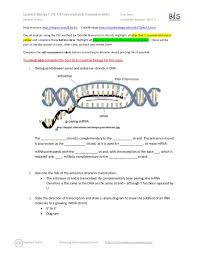It could be other components. Essential Biology Transcription Translation Ahl And Worksheet Uppercase Lowercase 1st Grade Fraction Handling Data For 1 Budget Sheet Printable Free Addition Exercises Kindergarten Calamityjanetheshow