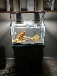 Doing My First Iwagumi De Rimmed 10 Gallon Added Brace And Custom Diy Light Aquariums