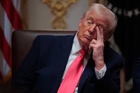Democrats question Trump's stamina after he appears to nod off in public –  Roll Call